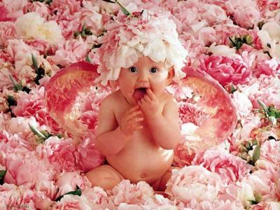 Un AnGe En RoSe